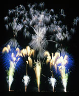 2008l-12.jpg